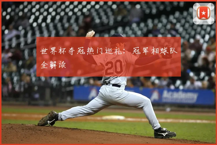 世界杯夺冠热门巡礼:冠军相球队全解读